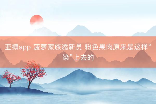 亚搏app 菠萝家族添新员 粉色果肉原来是这样“染”上去的