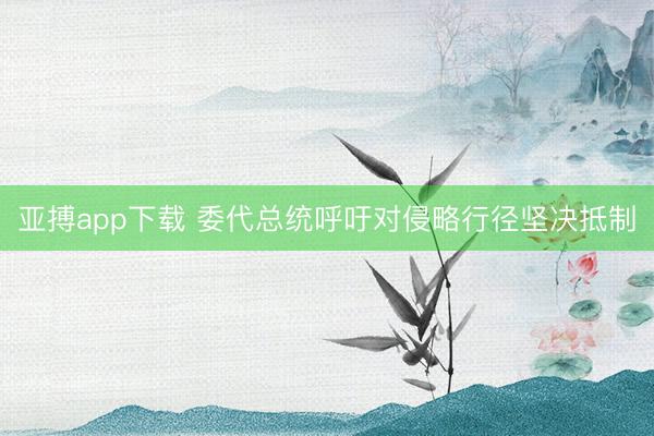 亚搏app下载 委代总统呼吁对侵略行径坚决抵制