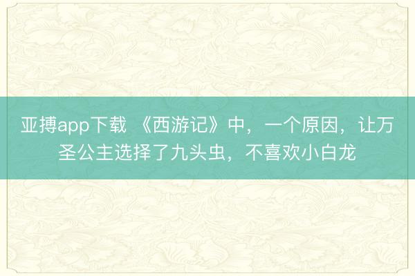 亚搏app下载 《西游记》中,一个原因,让万圣公主选择了九头虫,不喜欢小白龙
