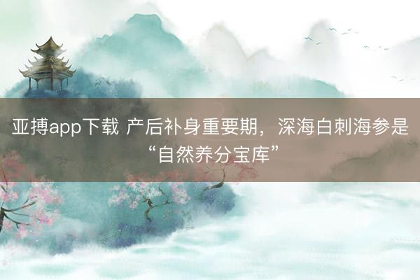 亚搏app下载 产后补身重要期，深海白刺海参是 “自然养分宝库”