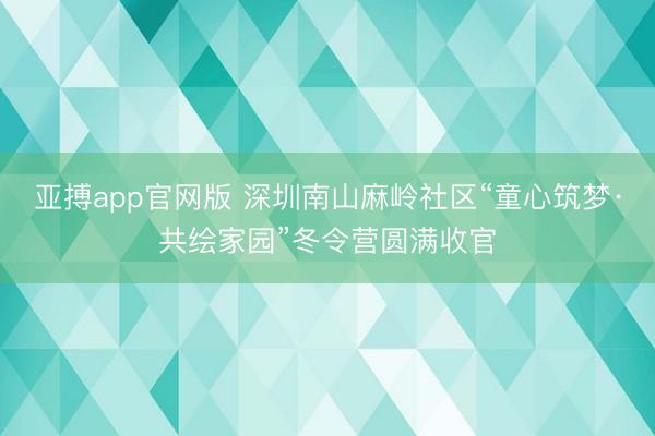 亚搏app官网版 深圳南山麻岭社区“童心筑梦·共绘家园”冬令营圆满收官