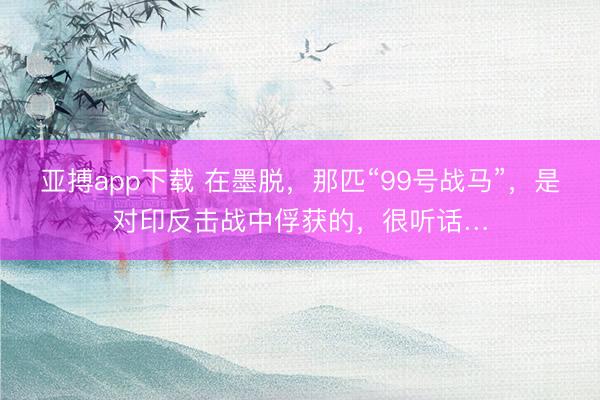 亚搏app下载 在墨脱，那匹“99号战马”，是对印反击战中俘获的，很听话…