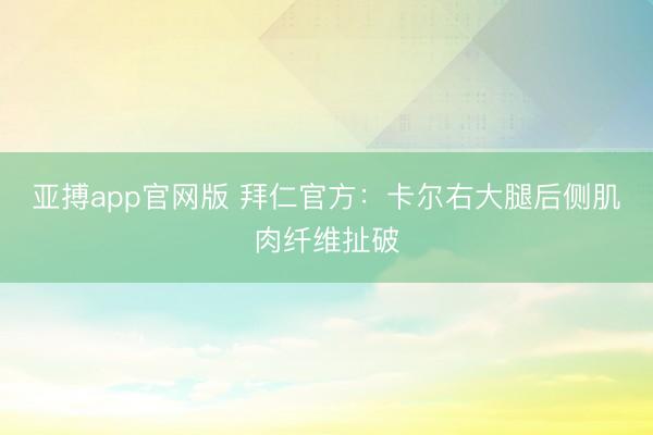 亚搏app官网版 拜仁官方：卡尔右大腿后侧肌肉纤维扯破