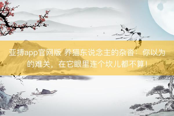 亚搏app官网版 养猫东说念主的杂沓：你以为的难关，在它眼里连个坎儿都不算！