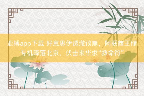 亚搏app下载 好意思伊透澈谈崩，阿联酋王储专机降落北京，伏击来华求“救命符”