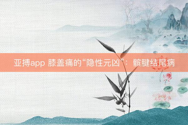 亚搏app 膝盖痛的“隐性元凶”：髌腱结尾病